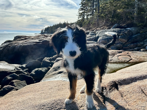 Jennifer T. on Google